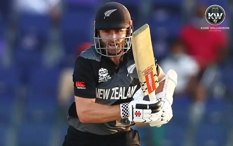 Kane Williamson’s Record Against India – Analysis & Highlights Match-Winning Innings in 2014